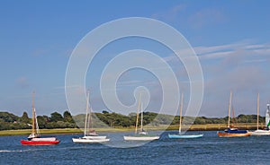 Line of Moored Sailboats