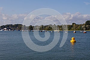 Line of Moored Sailboats