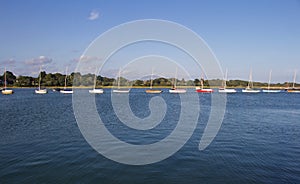 Line of Moored Sailboats