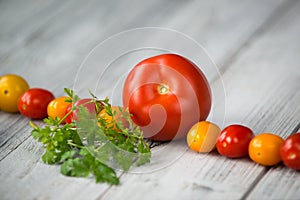 Line of natural organic red and yellow cherry tomatoes, tomato and fresh herbs on wooden background