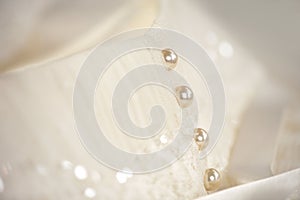 Line of pearl buttons on a white wedding dress