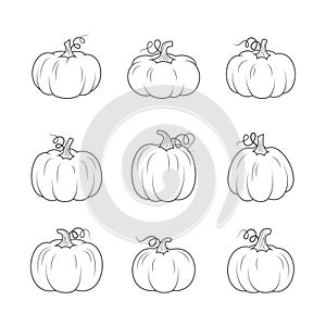 Line pumpkins set fall design. Vector line illustration on white background