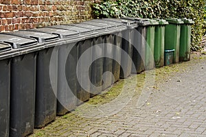 Line of residential wheelie bins photo