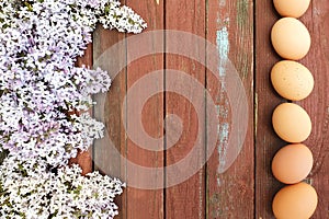 Line of rown eggs of domestic chicken hens and lilac flower border frame on old red wood texture background. Spring and easter