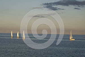Line of Sailboats on Lake Michigan