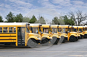 Line of school buses