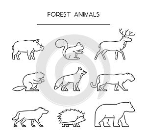 Line set of forest animals. Linear silhouettes animals isolated