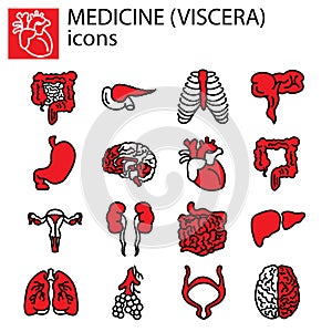Line set. Medicine, viscera photo