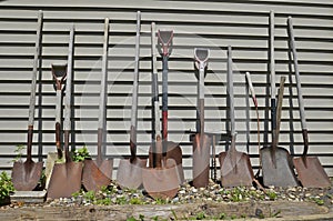 A line of shovels and spades in a line