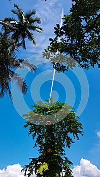 Line of smoke plane in blue sky