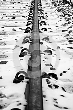 Line in the snow photo