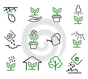 Line sprout and plant growing vector icons set