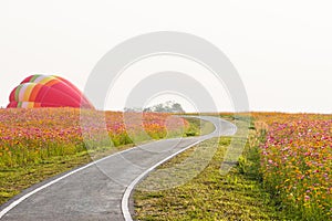 Line the streets with flowers surrounding Cosmos. The balloon being launched