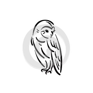 Line style owl bird hand drawn illustration