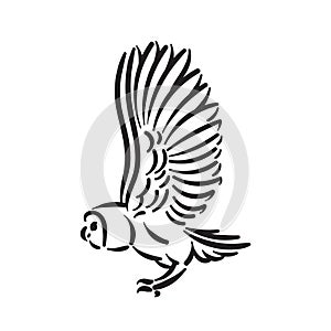 Line style owl bird hand drawn illustration