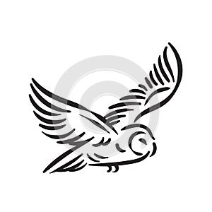 Line style owl bird hand drawn illustration