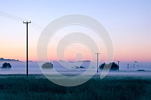 A line of telegraph poles heading into the distance across a field on a beautiful misty, summers morning, just before sunrise