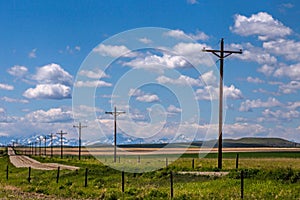 A Line Of Telephone Poles