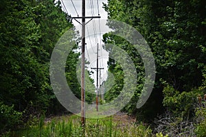 Telephone poles by an abandoned train station