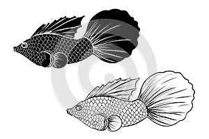 Line thai silhouette with traditional beta fish isolate on white background.