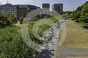 A line of trees along a pathway with buildings in the background