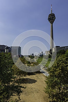 A line of trees along a pathway leading to the Rhine Tower in th