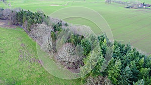 Line of trees in farmland, copse in pastures