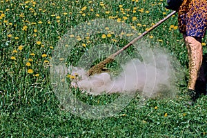 Molehill in front of string weed trimmer creates dust cloud upon contact with rotating drum head.