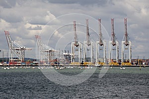 Line up of cranes in a container port