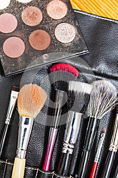 Line of Variety of Professional Makeup Tools and Brushes With Eye shadows Placed as Make-up Products Set