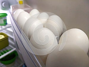 A line of white eggs