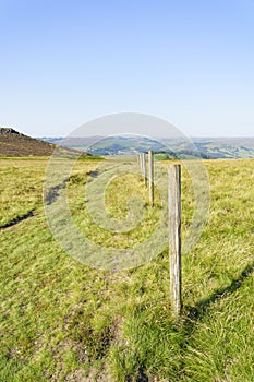 Line of wooden fence posts on Callow Bank, Derbyshire