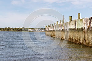 Line of wooden pilings in the Long Island Sound