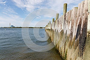 Line of wooden pilings in the Long Island Sound