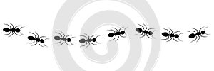 Line of working ants vector illustration isolated on white