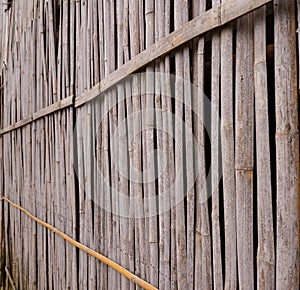 A line of yellow bamboo wall that fade and age by time.à¸ºà¸º