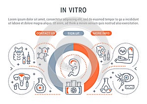 Linear Banner of In Vitro.