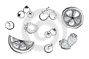 Linear berry fruit icons isolated illustration set hand drawn