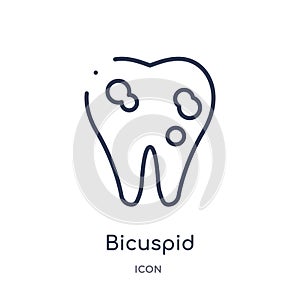 Linear bicuspid icon from Dentist outline collection. Thin line bicuspid icon isolated on white background. bicuspid trendy