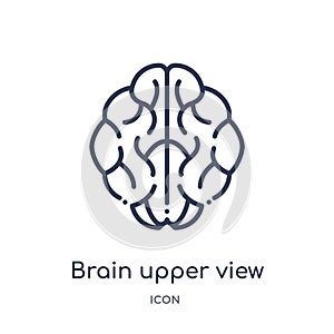 Linear brain upper view icon from Human body parts outline collection. Thin line brain upper view icon isolated on white