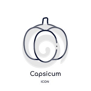 Linear capsicum icon from Agriculture farming and gardening outline collection. Thin line capsicum vector isolated on white