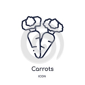Linear carrots icon from Agriculture farming and gardening outline collection. Thin line carrots vector isolated on white