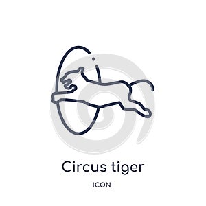 Linear circus tiger icon from Circus outline collection. Thin line circus tiger vector isolated on white background. circus tiger photo
