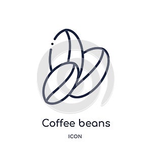 Linear coffee beans icon from Brazilia outline collection. Thin line coffee beans vector isolated on white background. coffee