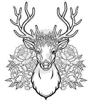 Linear drawing of the head of a young horned deer, openwork flowers, romantic wreath.