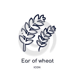 Linear ear of wheat icon from Food outline collection. Thin line ear of wheat icon isolated on white background. ear of wheat