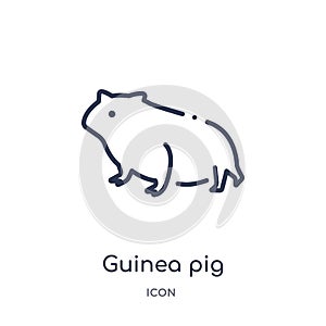 Linear guinea pig icon from Animals and wildlife outline collection. Thin line guinea pig vector isolated on white background.