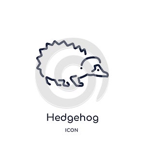 Linear hedgehog icon from Animals outline collection. Thin line hedgehog icon isolated on white background. hedgehog trendy