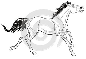 Linear illustration of a galloping stallion. photo