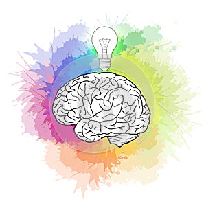 Linear illustration of human brain with light bulb